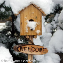 Vogelhäuschen im Schnee