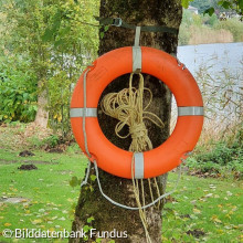 Rettungsring am Baum