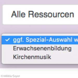 Screenshot von der Anwendung