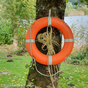 Rettungsring am Baum