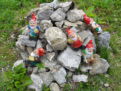 Foto: find-das-bild.de/Michael Schnell